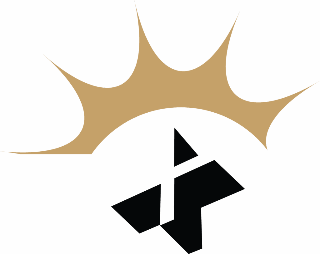 plus sign with burst